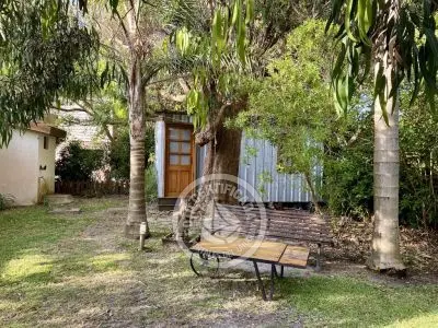 Casa Occidente La Paloma