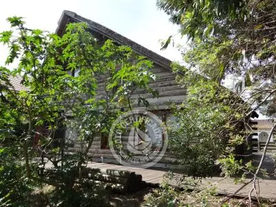 Cabin Navajuá La Paloma