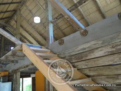 Cabin Navajuá La Paloma