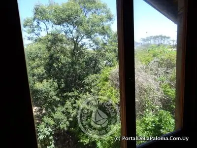 Cabin Navajuá La Paloma