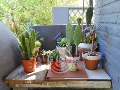 House Inti La Paloma