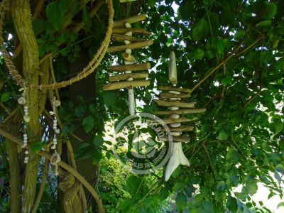 House Inti La Paloma