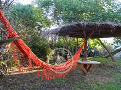 Casa La Kasita  Arachania