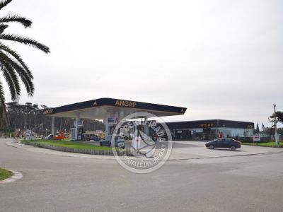 Gas Stations Ancap La Paloma