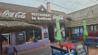 Restaurant La Ballena  La Paloma
