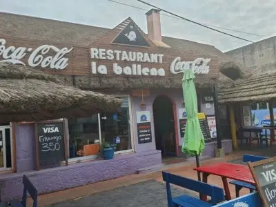 La Ballena 