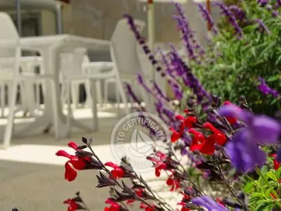 Hotel Tamariz Piriapolis