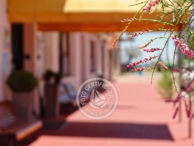 Hotel Tamariz Piriapolis