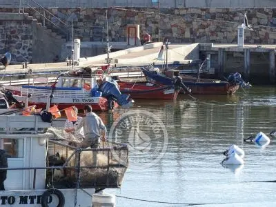 Puerto - Piriápolis