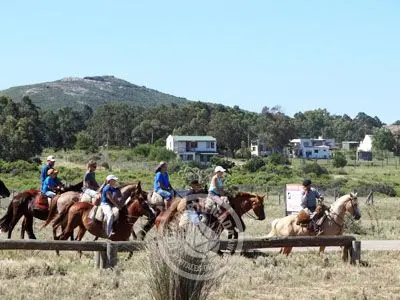 Horse-Riding Cabalgatas en Punta Negra - Campo y Mar Punta Negra