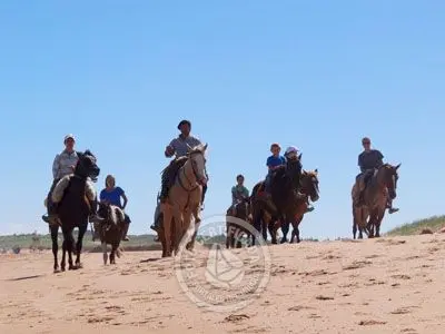 Horse-Riding Cabalgatas en Punta Negra - Campo y Mar Punta Negra