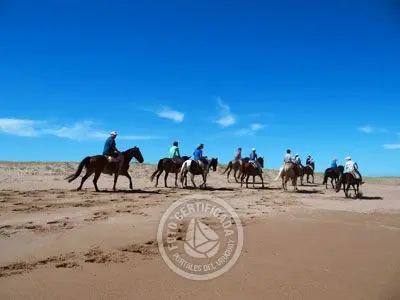 Horse-Riding Cabalgatas en Punta Negra - Campo y Mar Punta Negra