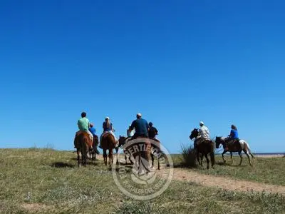 Horse-Riding Cabalgatas en Punta Negra - Campo y Mar Punta Negra