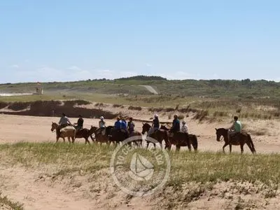 Horse-Riding Cabalgatas en Punta Negra - Campo y Mar Punta Negra