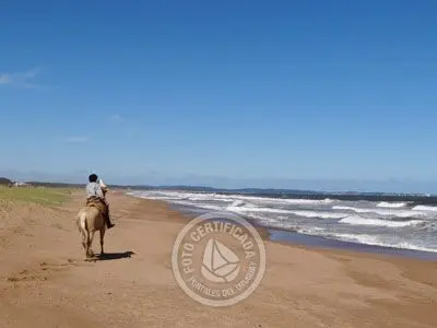 Horse-Riding Cabalgatas en Punta Negra - Campo y Mar Punta Negra