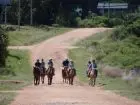 Horse-Riding Cabalgatas en Punta Negra - Campo y Mar Punta Negra