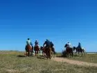 Horse-Riding Cabalgatas en Punta Negra - Campo y Mar Punta Negra