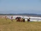 Horse-Riding Cabalgatas en Punta Negra - Campo y Mar Punta Negra