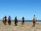 Horse-Riding Cabalgatas en Punta Negra - Campo y Mar Punta Negra