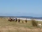 Horse-Riding Cabalgatas en Punta Negra - Campo y Mar Punta Negra