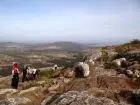 Passeio e Atividades Subida al Cerro Pan de Azúcar Piriápolis