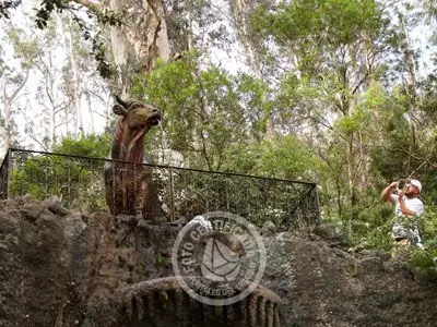 Passeio e Atividades Cerro del Toro Piriápolis