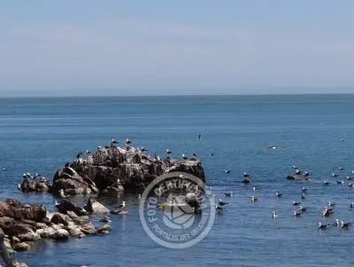 Restaurante Kiosco El Pescador Punta Fría