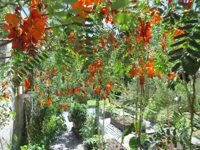 Restaurant El Ranchonda Punta Negra
