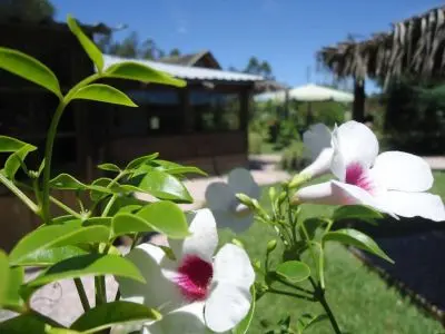 Restaurant El Ranchonda Punta Negra
