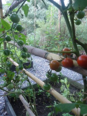 Restaurant El Ranchonda Punta Negra