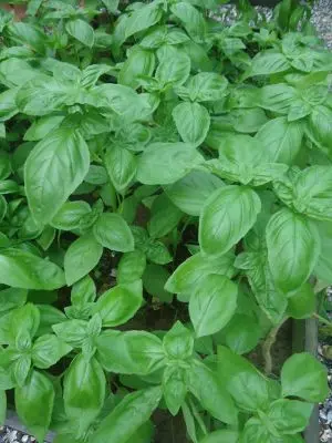 Restaurant El Ranchonda Punta Negra