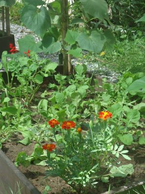 Restaurant El Ranchonda Punta Negra