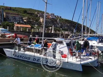 Barcos del Este - Paseos y Pesca