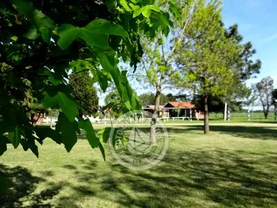 Villa Las Martinas Colonia