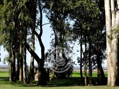 Villa Las Martinas Colonia