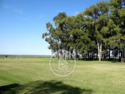 Villa Las Martinas Colonia