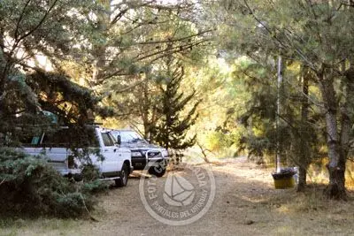 Camping Enrique Davyt Colonia Beach resorts