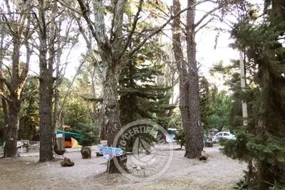 Camping Enrique Davyt Colonia Beach resorts