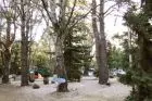 Camping Enrique Davyt Colonia Beach resorts