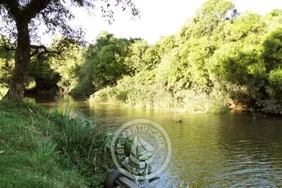 Camping Club Náutico Concordia Colonia Beach resorts