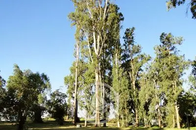 Camping Club Náutico Concordia Colonia Beach resorts