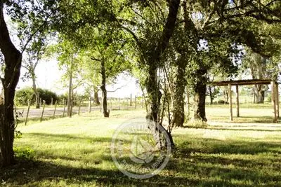 Camping Club Náutico Concordia Colonia Beach resorts