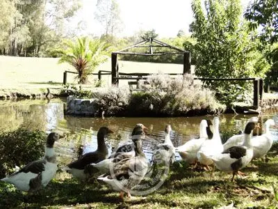 Hotel Nirvana Nueva Helvecia