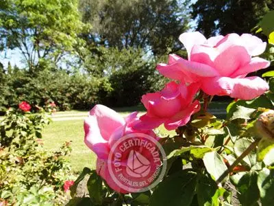 Hotel Nirvana Nueva Helvecia