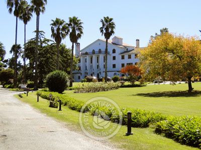 Hotel Nirvana Nueva Helvecia