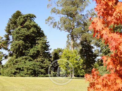 Hotel Nirvana Nueva Helvecia