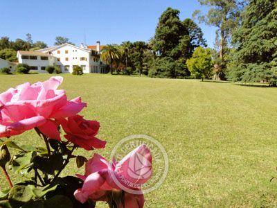 Hotel Nirvana Nueva Helvecia