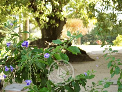 Hotel Nirvana Nueva Helvecia