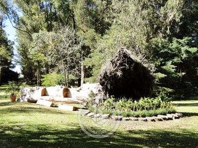 Hotel Nirvana Nueva Helvecia