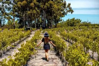 Resort Carmelo Resort & Spa Carmelo